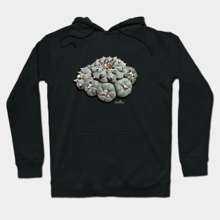 Lophophora Williamsii - The Peyote Hoodie